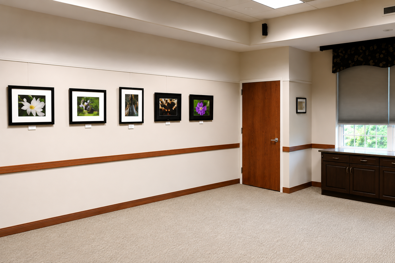 Art gallery featuring framed photographs of flowers and nature