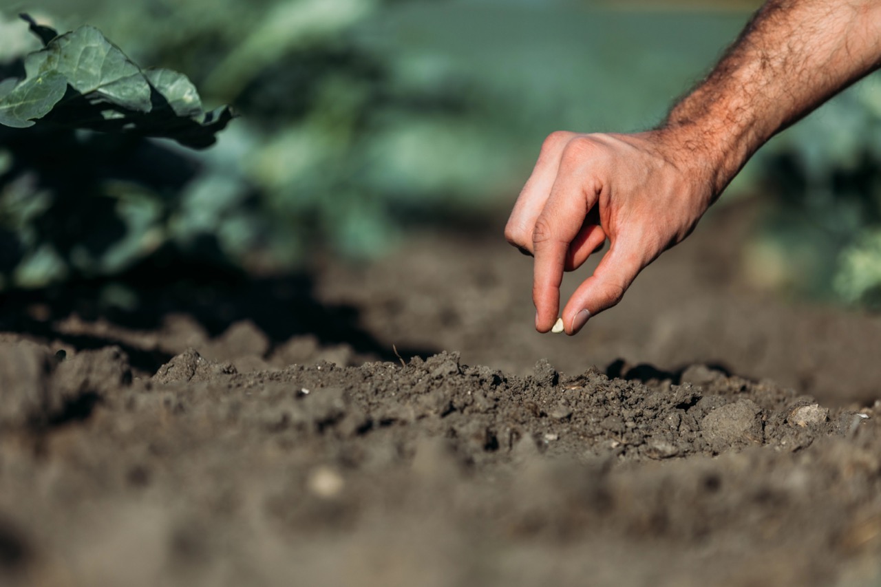 A hand planting a seed into freshly tilled soil
